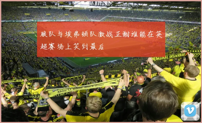 狼队与埃弗顿队激战正酣谁能在英超赛场上笑到最后