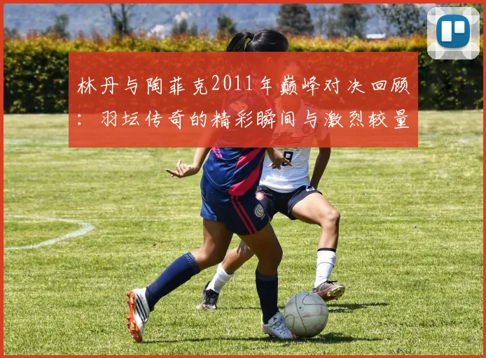 林丹与陶菲克2011年巅峰对决回顾：羽坛传奇的精彩瞬间与激烈较量