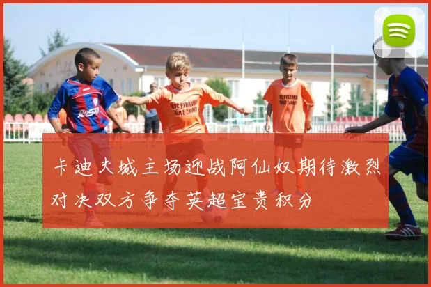 卡迪夫城主场迎战阿仙奴期待激烈对决双方争夺英超宝贵积分