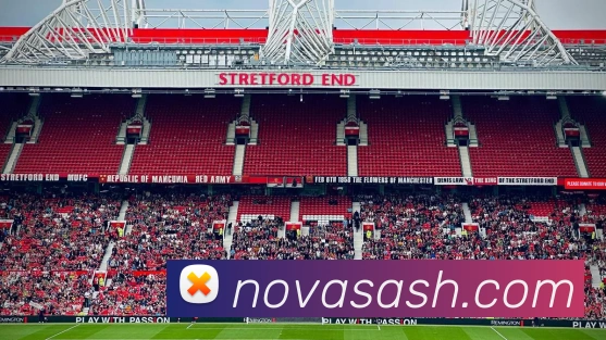 3377体育服务体系